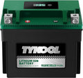 TYKOOL YTX12-BS STD LiFePO4 Lithium Motorcycle Battery,280CCA,2X Cranking Amps,Digital Readout,Compitable for BMW F850GS,Kawasaki Vulcan 900, BRP (Can-AM) DS250 ATV,Piaggio Vespa 300cc Scooter